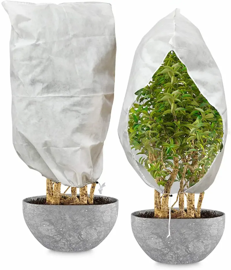 倒春寒来了怎么办?防寒植物罩与覆盖毯怎么选(克重/透光/防冻温差)